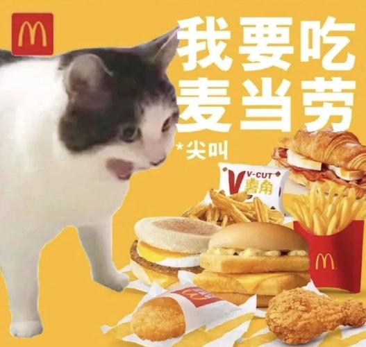 麦当劳借助AI定价引擎分析每日数百万笔交易，覆盖全美近1.4万家餐厅