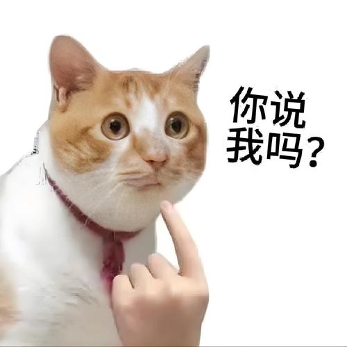 AI芯片测试产能持续吃紧,台湾封测企业矽格宣布启动涨价
