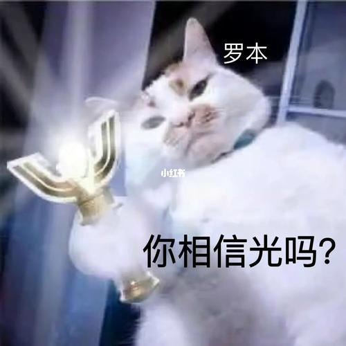 AI数据中心需求暴增,光通信龙头Lumentum光器件产能售罄至2029年初