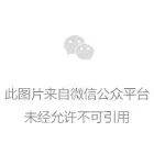 宇树发布H2-X功夫传奇,人形机器人续航提升至约8小时